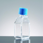 Falcon 25cm2 Canted Neck TC-Treated Cell Culture Flask with Vented Cap 50mL