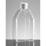 Falcon 75cm2 Canted Neck Not Treated Cell Culture Flask with Plug Seal Cap 250mL