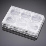 Falcon 6 Well Clear Flat Bottom TC-Treated Permeable Support Companion Plate with Lid Sterile