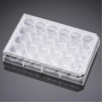 Falcon 24 Well Clear TC-Treated Cell Culture Insert Companion Plate with Lid