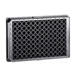 Greiner 96 well microplate black