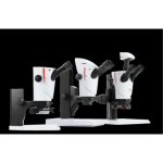 Leica S9E Incident Light with Transmitted Light Sub Base 6.1x - 55x