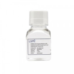 LSG CellShip Cell Transport Medium with Antibiotic (Penicillin-Streptomycin and Amphotericin) - Insu