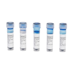 Lonza DNA Loading Buffer 6X Concentration - 5x1mL