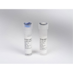 Lonza SimplyLoad DNA Marker 100bp for 100 Applications - 500uL