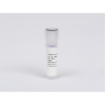Lonza ProSieve Color Protein Marker 10-190 kDa - 100uL
