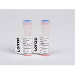 Lonza SYBR Green I Nucleic Acid Stain 10000X Concentrate in DMSO - 10x50uL