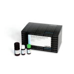 Lonza MycoAlert Mycoplasma Detection Kit- 50 Tests