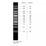 Meridian Bioscience HyperLadder 25bp - 200 Lanes