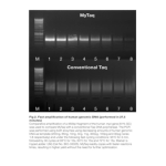 Meridian Bioscience MyTaq Red DNA Polymerase - 500 Units