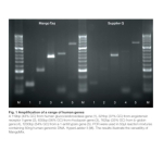 Meridian Bioscience MangoMix - 250 Reactions