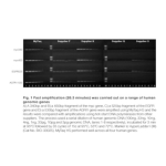 Meridian Bioscience MyTaq HS Red Mix - 200 Reactions