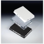 Nunc Microplate 384 well  Shallow Height  Clear  No Lid  non-treated  non-sterile
