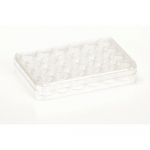 Nunc Nunclon Delta Treated Round 24 Well Flat Bottom Sterile Dish without Lid Nunc Nunclon Delta Treated Round 24 Well Flat Bottom Sterile Dish without Lid