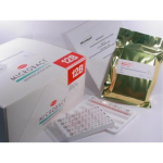 Oxoid Microbact Gram Negative Bacteria 24E ID Kit