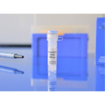Oz Biosciences DreamFect Gold 500uL