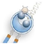 OZ Biosciences PolyMag 100ul