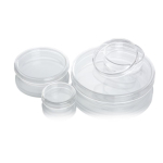PYREX Glass Petri Dish - 120 x 20mm
