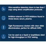 PSF-CMV-CMV-SBFI - DUAL CMV EXPRESSION PLASMID; plasmid vector for molecular cloning