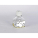 Cyclosporin A, from Tolypocladium inflatum, BioReagent, for molecular biology, >=95%