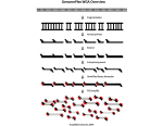GenomePlex Whole Genome Amplification (WGA) Kit, Kit for whole genome amplification from a variety o