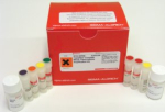 Complete Whole Transcriptome Amplification Kit, DNA polymerase included, Complete Kit with optimized