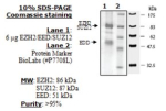 EZH2 / EED / SUZ12 human, recombinant, expressed in baculovirus infected insect cells, >=90% (SDS-PA