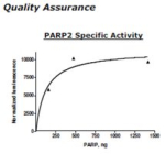 PARP2 Active human, recombinant, expressed in baculovirus infected insect cells, >=80% (SDS-PAGE)