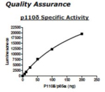 PI3 kinase (p110d/p85a) Active human, recombinant, expressed in baculovirus infected insect cells, >