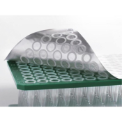 Azenta Life Sciences Universal Peel Heat Seal -  125 x 78mm Sheets