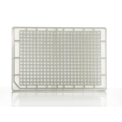 Azenta Life Sciences 384 Deep Well Polypropylene Storage Plate Square Wells 190ml Total Well Volume