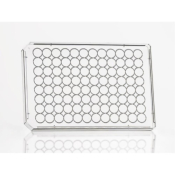 Azenta Life Sciences 96 Well Assay Plate Lid Low Profile With Condensation Rings Sterile
