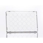 Azenta Life Sciences 24 Well Assay Plate Lid With Condensation Rings. Non Sterile