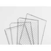 Azenta Life Sciences 96 Well FrameStar NGS PCR Plate Lid with Condensation Rings H1 A12 Single Cut C