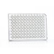 Azenta Life Sciences FrameStar 96 Well PCR Plate Semi-Skirted ABI Style with Upstand Clear Frame Cle