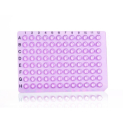 Azenta Life Sciences 8 Well PCR Plate Segment Non-Skirted Purple H12 Cut Corner