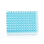 Azenta Life Sciences 16 Well PCR Plate Segment Non-Skirted Blue H12 Cut Corner