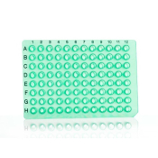 Azenta Life Sciences 24 Well PCR Plate Segment Non-Skirted Green H12 Cut Corner