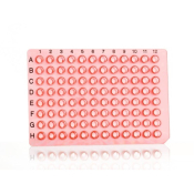 Azenta Life Sciences 32 Well PCR Plate Segment Non-Skirted Red H12 Cut Corner