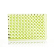 Azenta Life Sciences 32 Well PCR Plate Segment Non-Skirted Yellow H12 Cut Corner