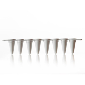 Azenta Life Sciences 96 Well PCR Plate with Removable 8 Well Tube Strips Skirted White H1 Cut Corner