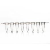 Azenta Life Sciences 96 Well PCR Plate with Removable 8 Well Tube Strips Skirted Clear H1 Cut Corner