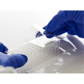 Azenta Life Sciences Adhesive PCR Seal Strips 12 Perforated Strips On A Sheet Compatible With Strips