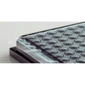 Azenta Life Sciences Moisture Barrier Seals - 96  Adhesive Free Windows for 96 Well Plates