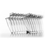 Azenta Life Sciences 0.2mL 8-Well PCR Tube Strips with Attached Domed Strip Caps Clear