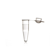 Azenta Life Sciences 0.2mL PCR Tubes with Attached Domed Caps Clear