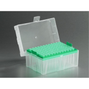 Axygen 300uL MultiRack Pipette Tip Racked 960 tips/pck 5 pck/case