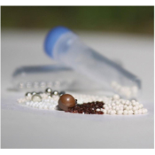 Benchmark Prefilled 2.0mL tubes 0.1mm Silica 1.4 mm Zirconium 4mm Silica Beads 50pk