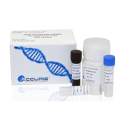 Accuris High Sensitivity DNA Quantification Kit 100 assays