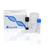 Accuris High Sensitivity dsDNA Quantification Kit - 100 Tests